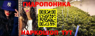 марихуана Ставрополь